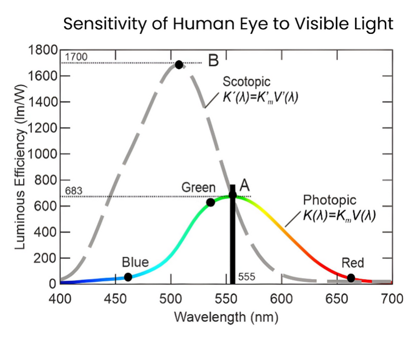 The Science